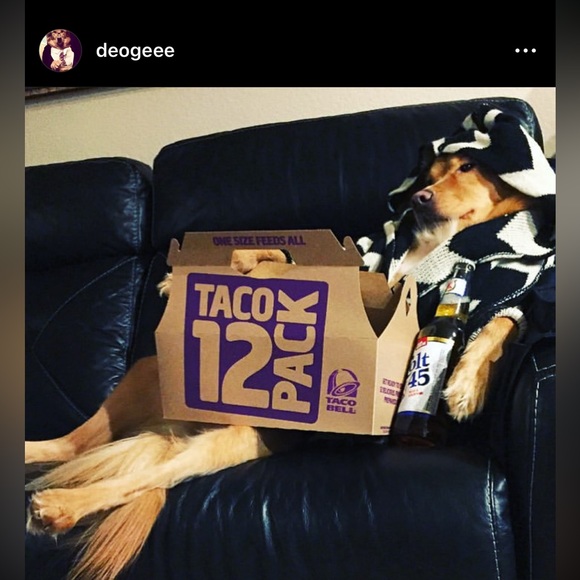 mystery prize box from DeeOgee ( D O G) customized to you . - Picture 3 of 11